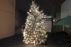 Weihnachtsbaum bei Nacht